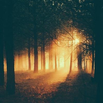 Kaiyun·开云体育